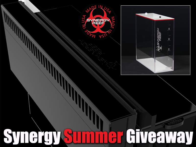 Synergy Giveaway Overflow and ATO.jpg