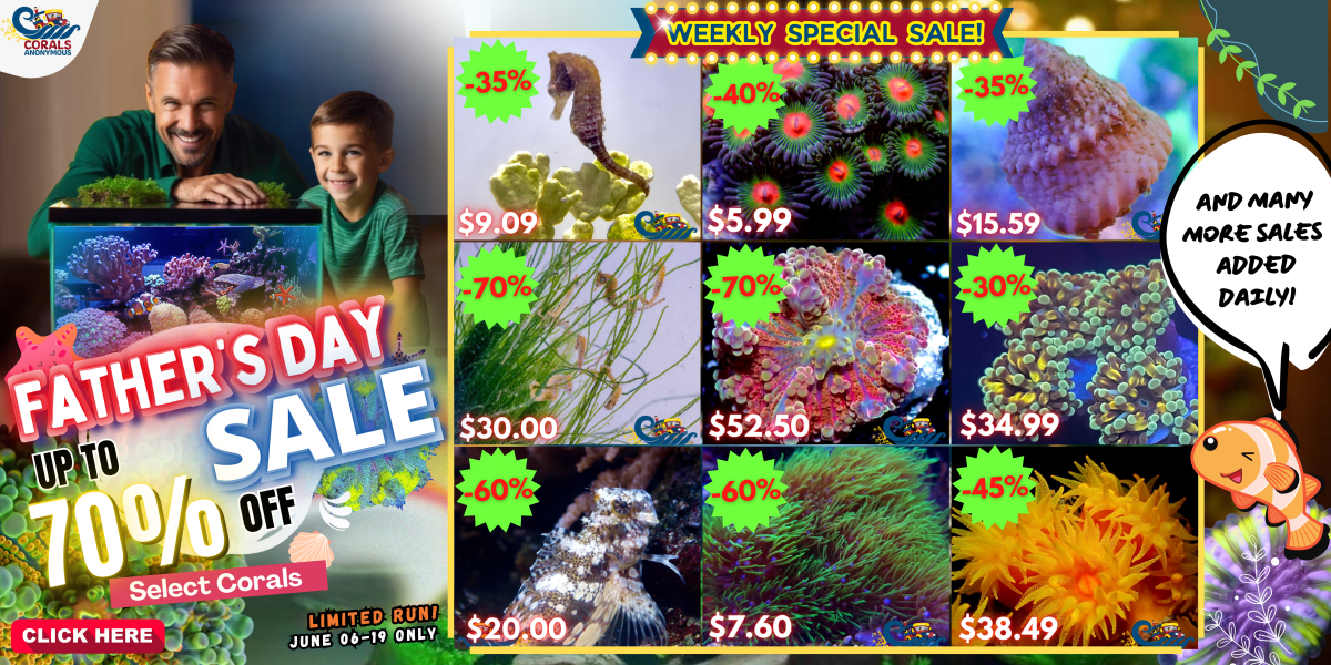 05.30.24 Father's Day Sale Website Banner.png
