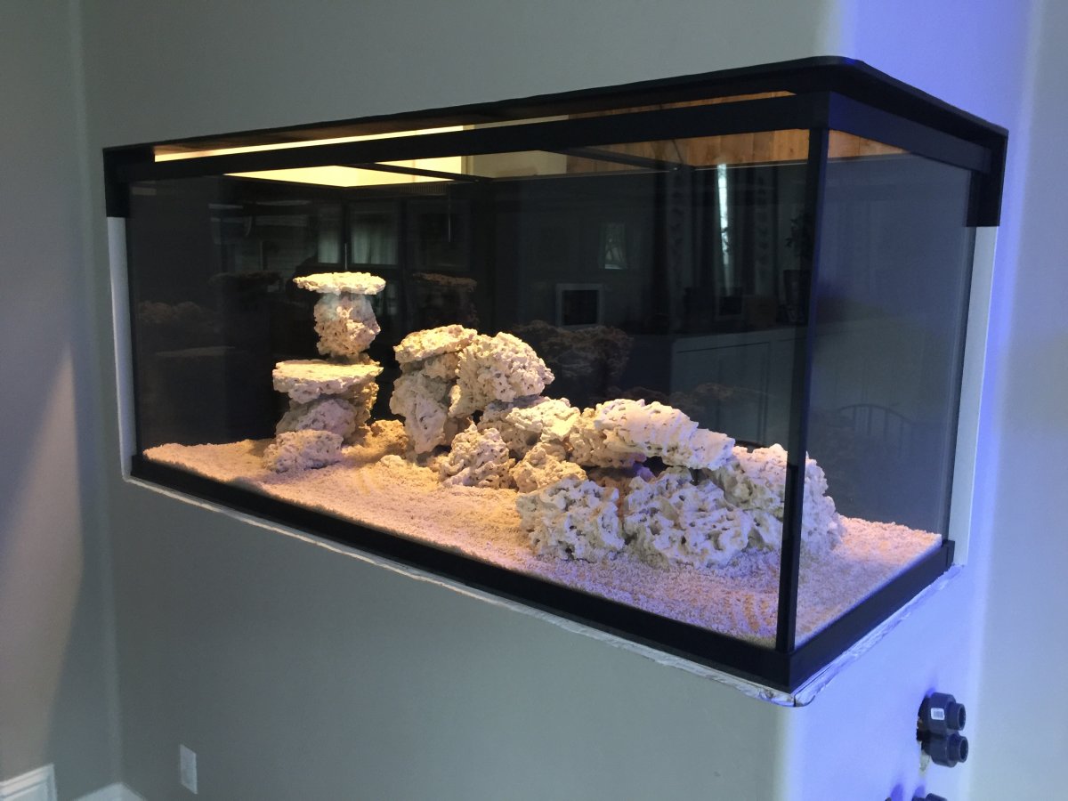 Connecting Established Reef To New Tank | REEF2REEF Saltwater and Reef ...