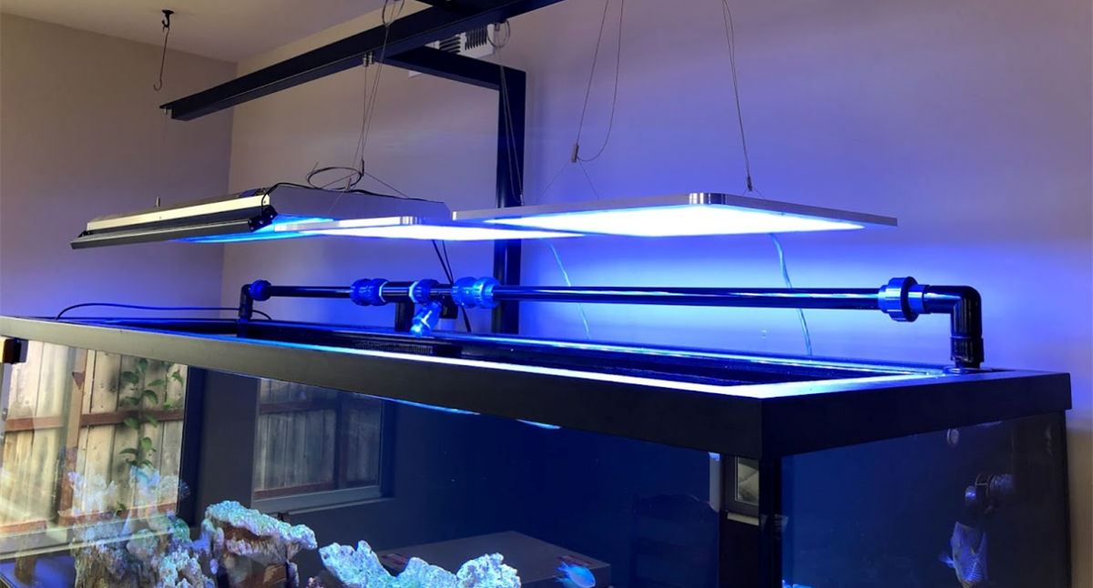 ATI Straton LED Light - Comments, Review, PAR, Coverage, Discuss... |  REEF2REEF Saltwater and Reef Aquarium Forum