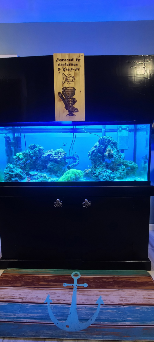 Build Thread - Leviathan Lagoon- DIY Automation, Custom Laser-Etched  Canopy, & More In My New & Improved Tank! | REEF2REEF Saltwater and Reef  Aquarium Forum