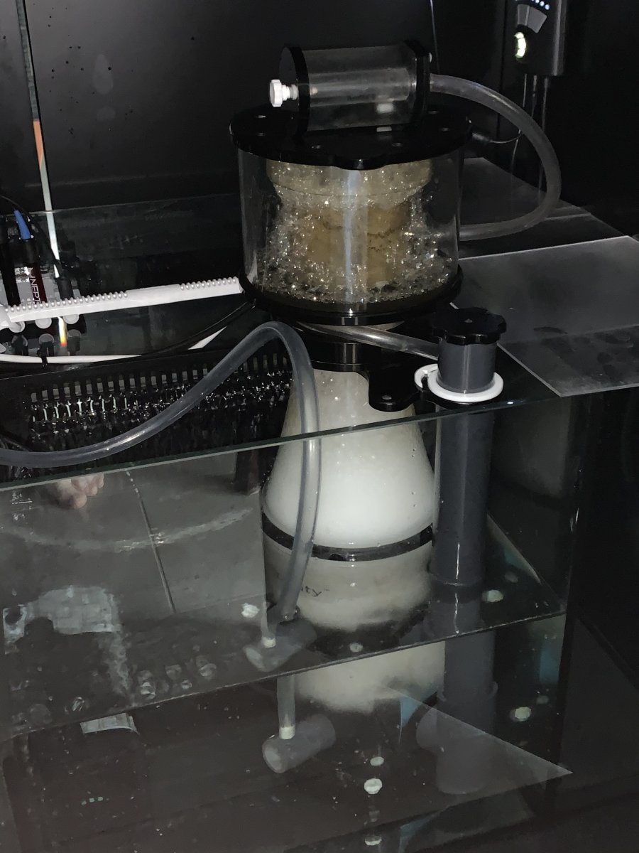 Simplicity 240dc Protein Skimmer Reviews