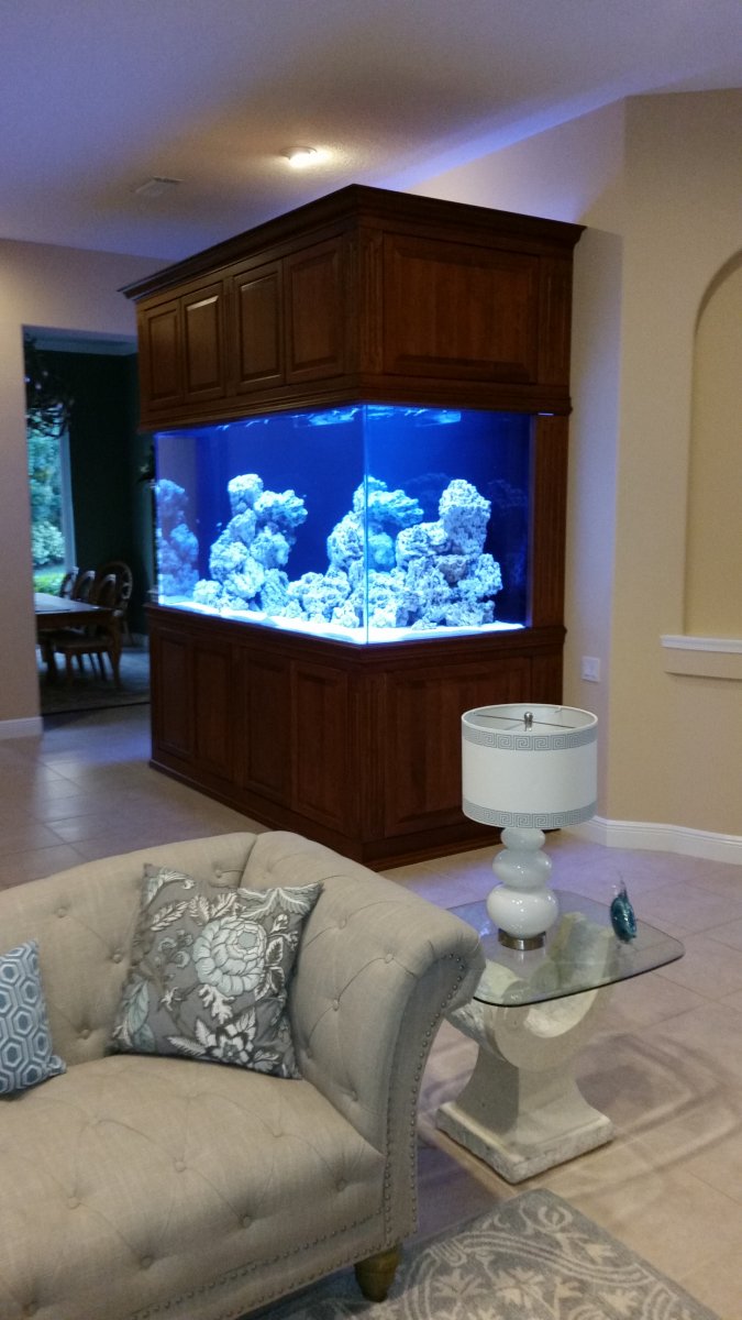 Large Build - My 900 gallon 