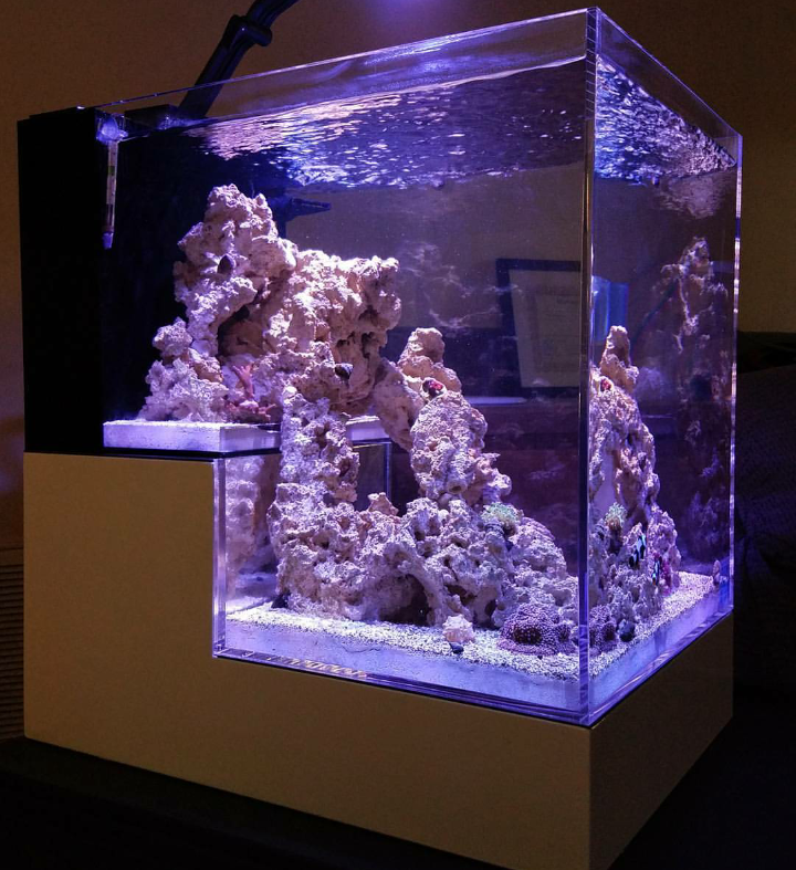 Show Off and Discuss Your NUVO Concept Aquarium! | REEF2REEF Saltwater and  Reef Aquarium Forum