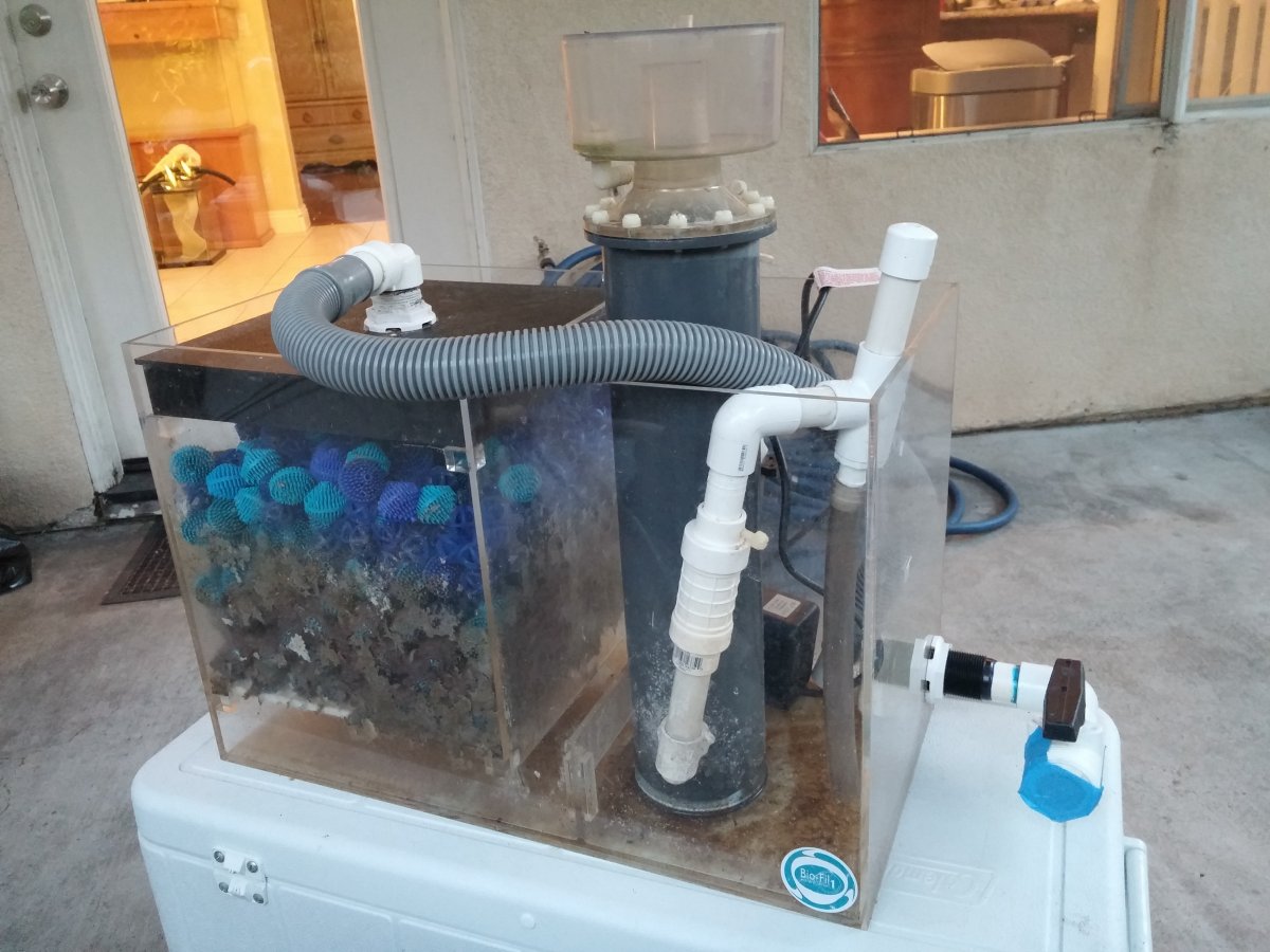 Question about wet/dry sump filtration | REEF2REEF Saltwater and Reef  Aquarium Forum