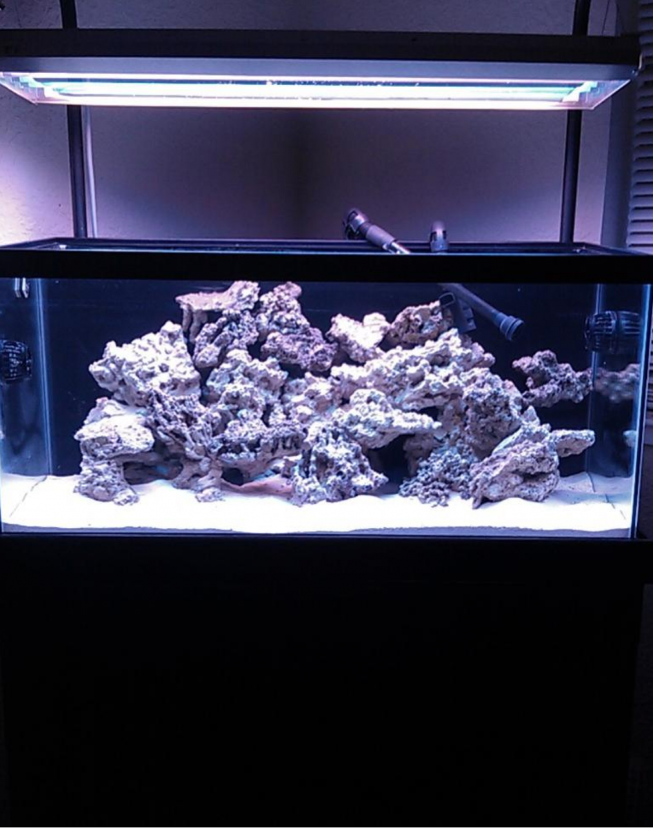 40 gallon Breeder aquarium and stand $125 | REEF2REEF Saltwater and ...