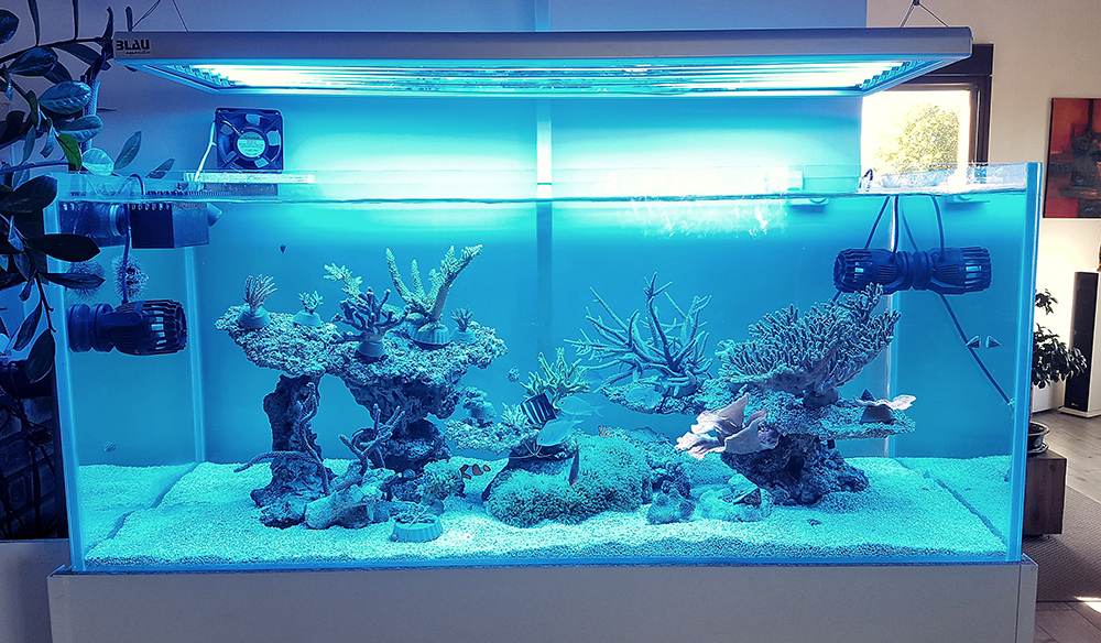T5 height from the water | REEF2REEF Saltwater and Reef Aquarium Forum