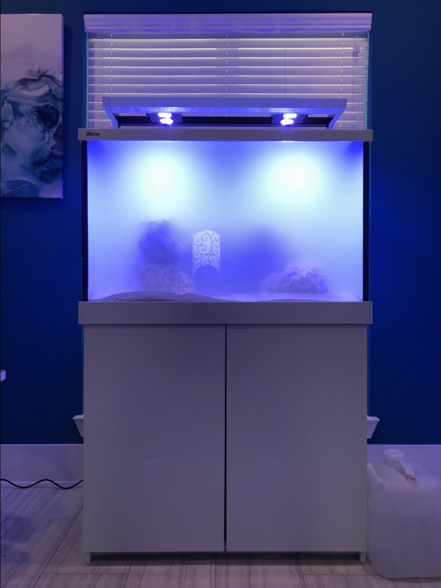 Texas - Like New - Red Sea Max S-400 White AIO Tank and lid and accessories  - 110 TSV, 97G display | REEF2REEF Saltwater and Reef Aquarium Forum
