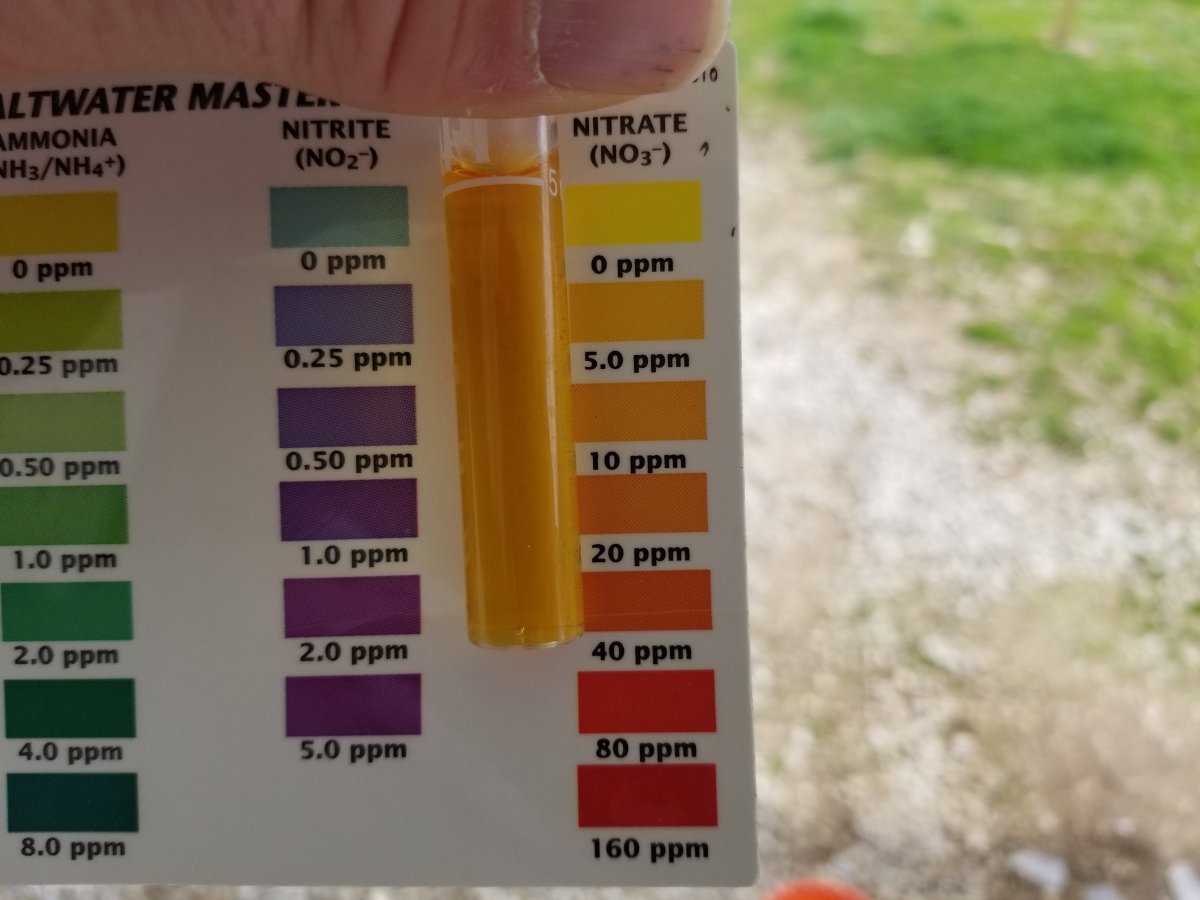 How do you compare colors on API Saltwater Master test kit? | REEF2REEF  Saltwater and Reef Aquarium Forum