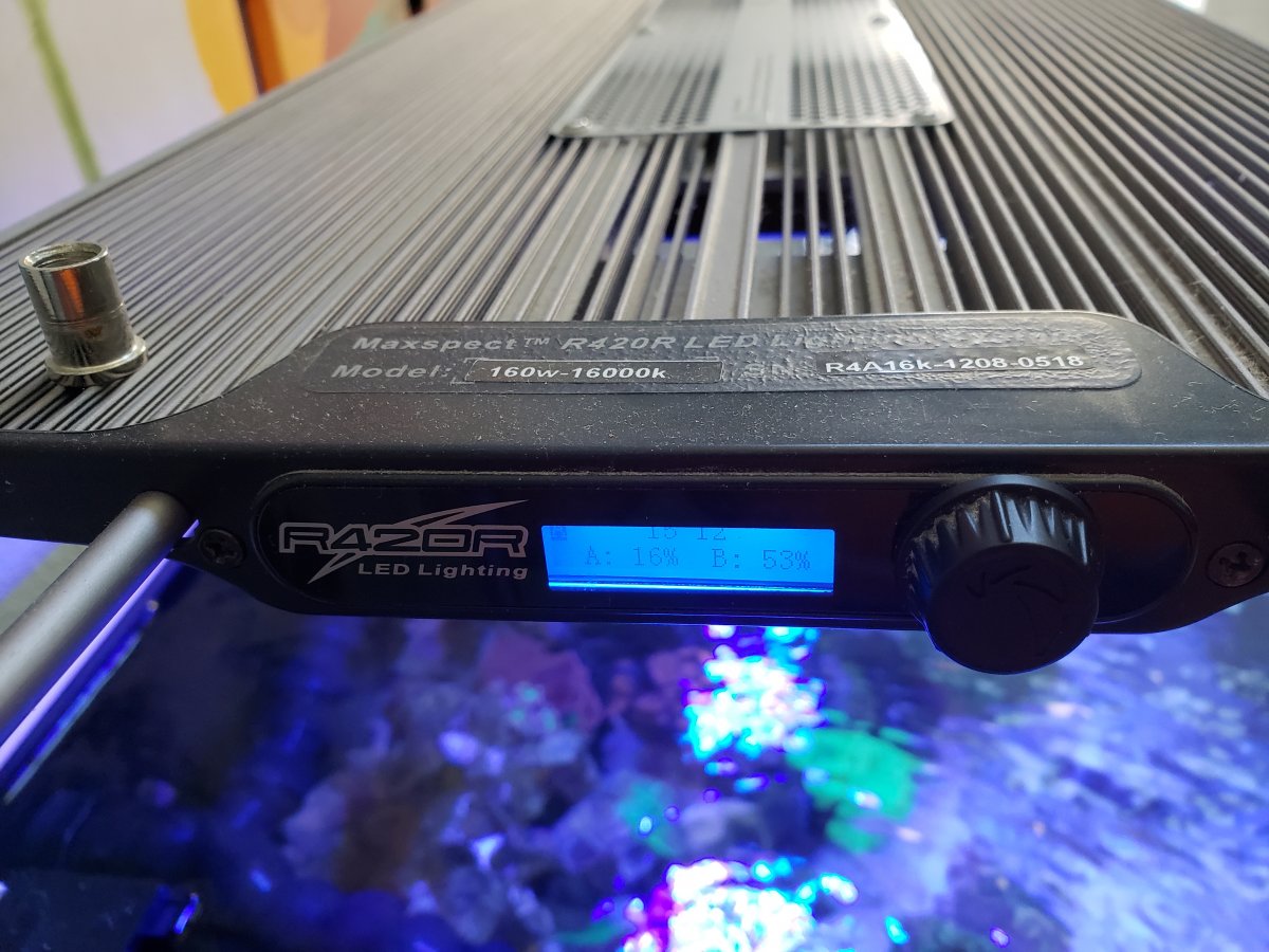 California - Maxspect Razr R420R 160w 16k | Reef2Reef