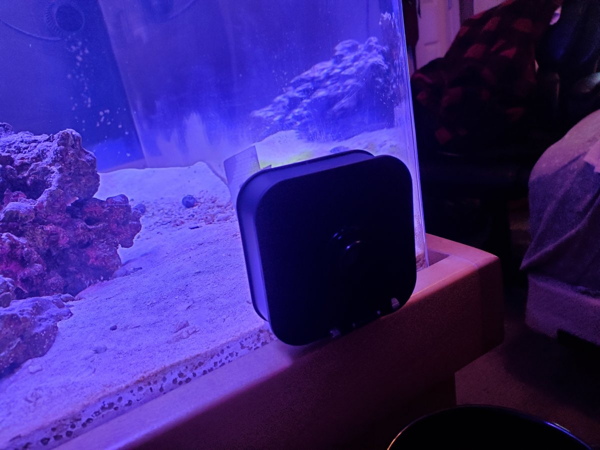 Wifi camera | REEF2REEF Saltwater and Reef Aquarium Forum