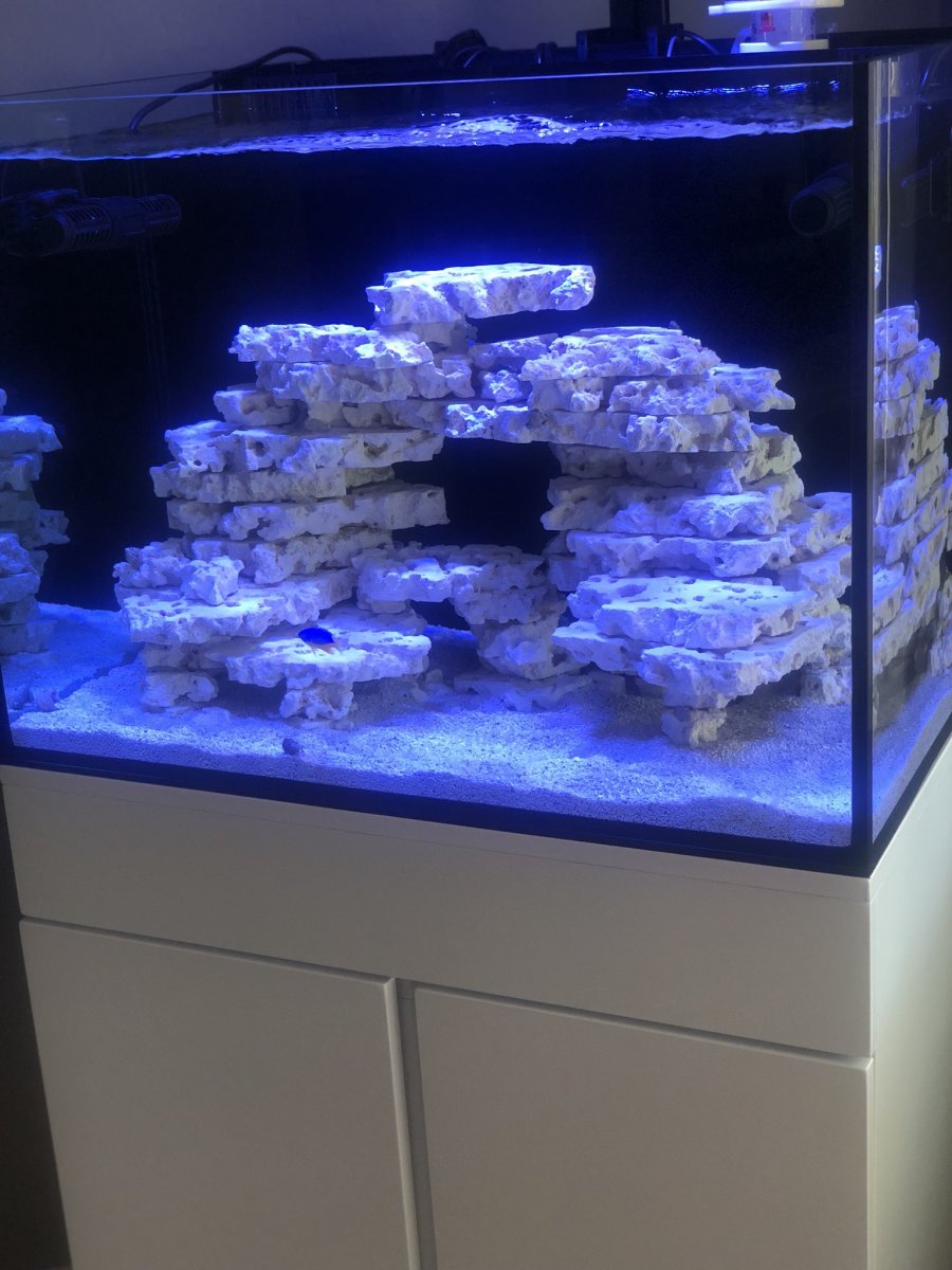45 Gallon Rimless Flat Panel Aquarium w/ White Stand - JBJ