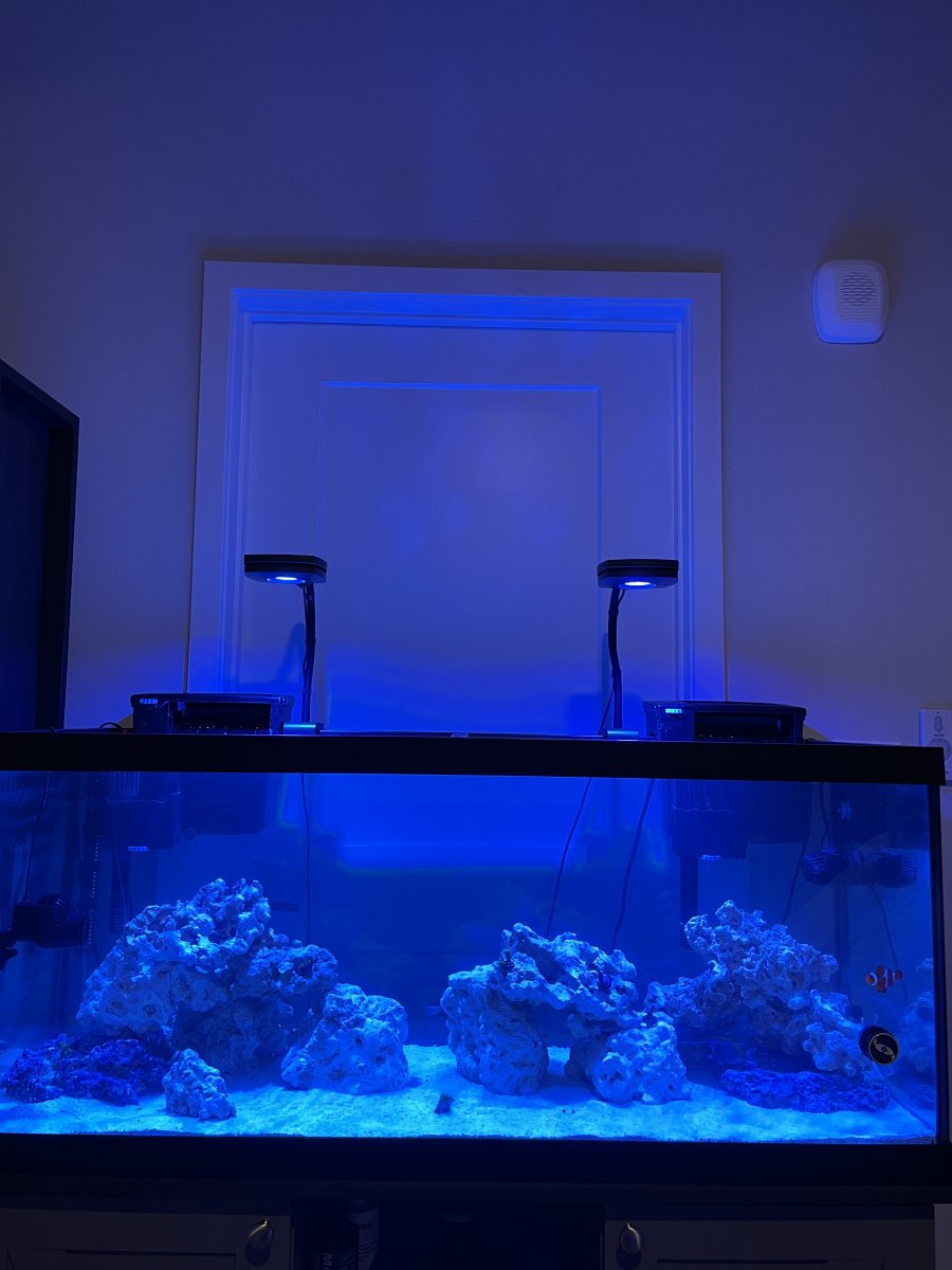 Blue sales aquarium sand