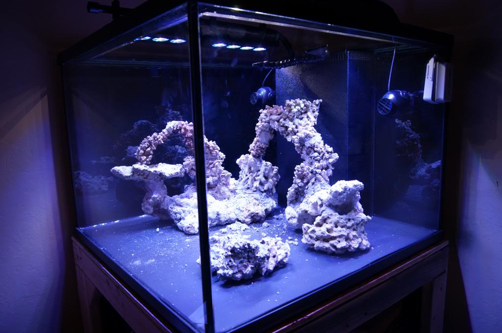 Cube Build - Show off those great CUBE TANK AQUASCAPES! | REEF2REEF  Saltwater and Reef Aquarium Forum