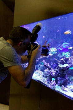 Your Guide to Aquarium Photography #1 - Getting the Basics | REEF2REEF  Saltwater and Reef Aquarium Forum