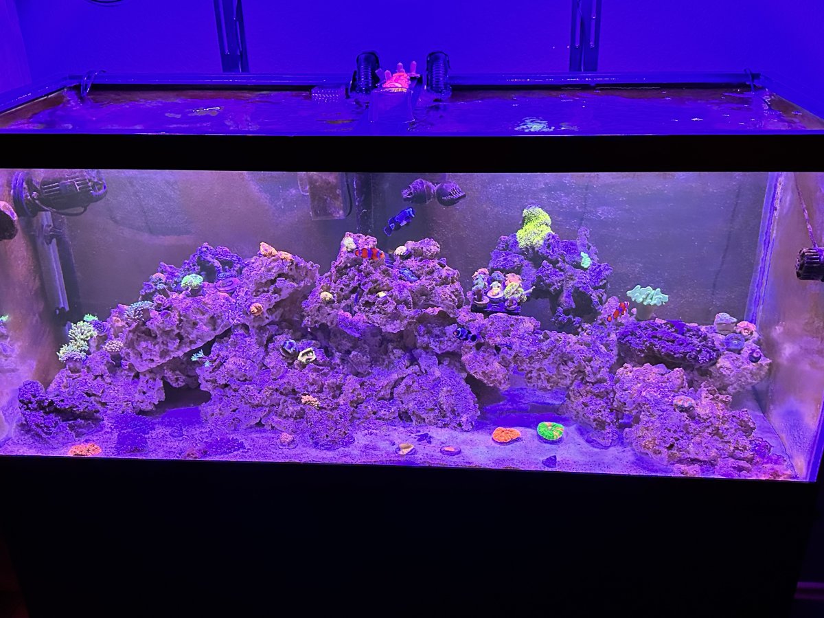 Best lighting for aqueon 75 gallon tank | REEF2REEF Saltwater and Reef  Aquarium Forum
