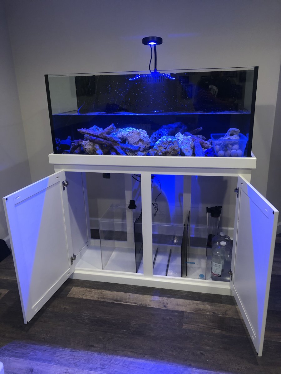 Michigan - 75 Gallon rimless reef ready seapora tank and custom stand for  sale. | REEF2REEF Saltwater and Reef Aquarium Forum