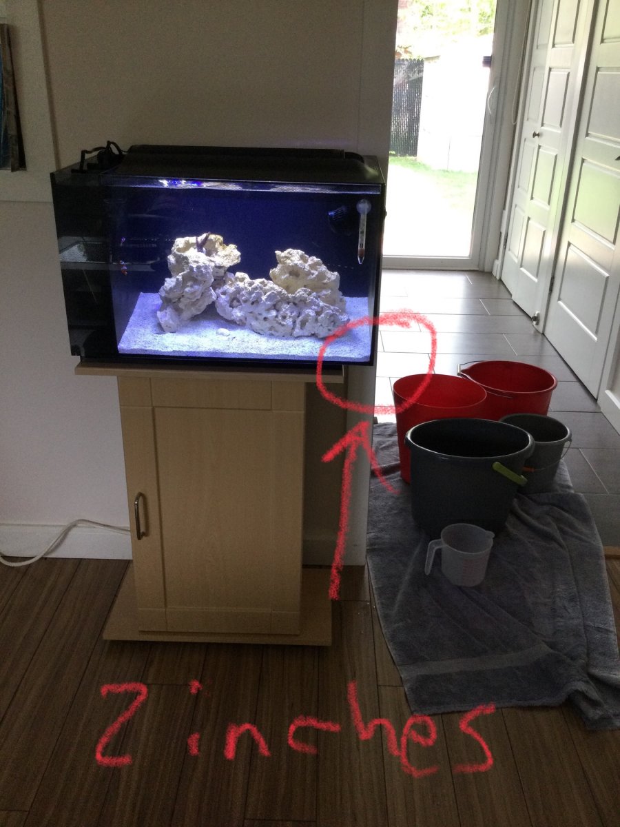 Is this stand adequate for a Fluval Evo 13.5 gallons ? | REEF2REEF  Saltwater and Reef Aquarium Forum