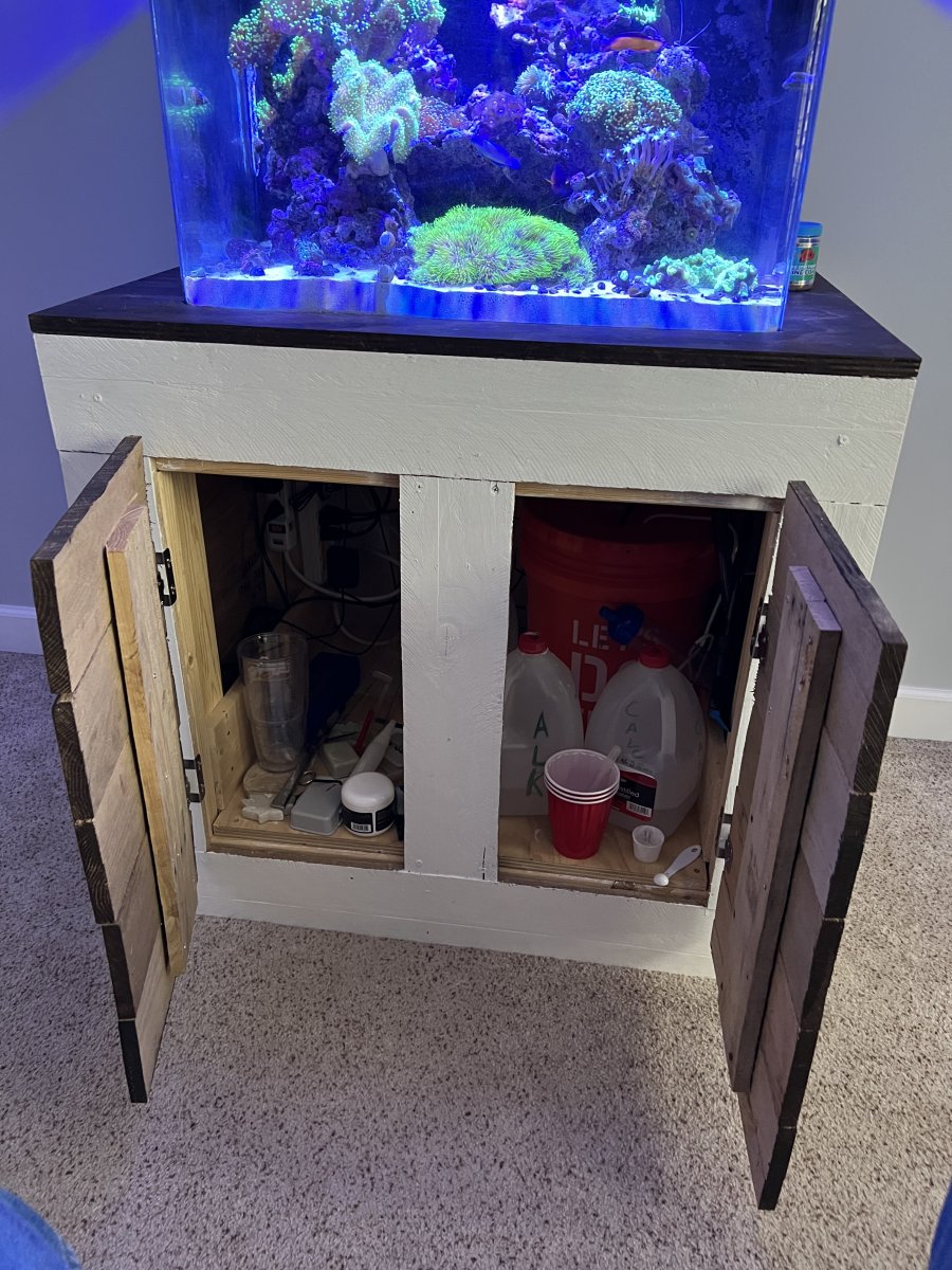JBJ 45 Gallon Rimless AIO full system with stand FS