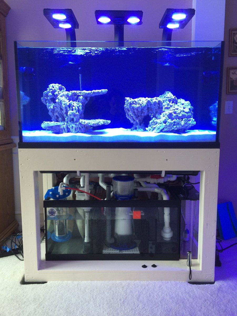 48x24x24 120 gal stand | Reef2Reef