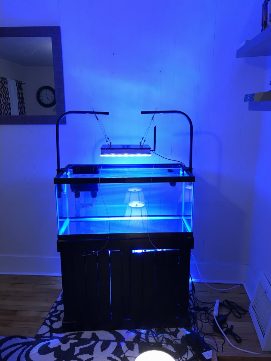 Build Thread - 40 breeder build . | REEF2REEF Saltwater and Reef ...