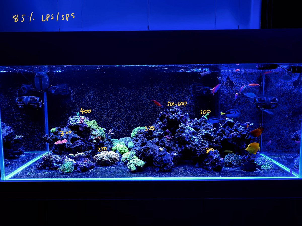 ATI Straton LED Light - Comments, Review, PAR, Coverage, Discuss... | Page  33 | REEF2REEF Saltwater and Reef Aquarium Forum