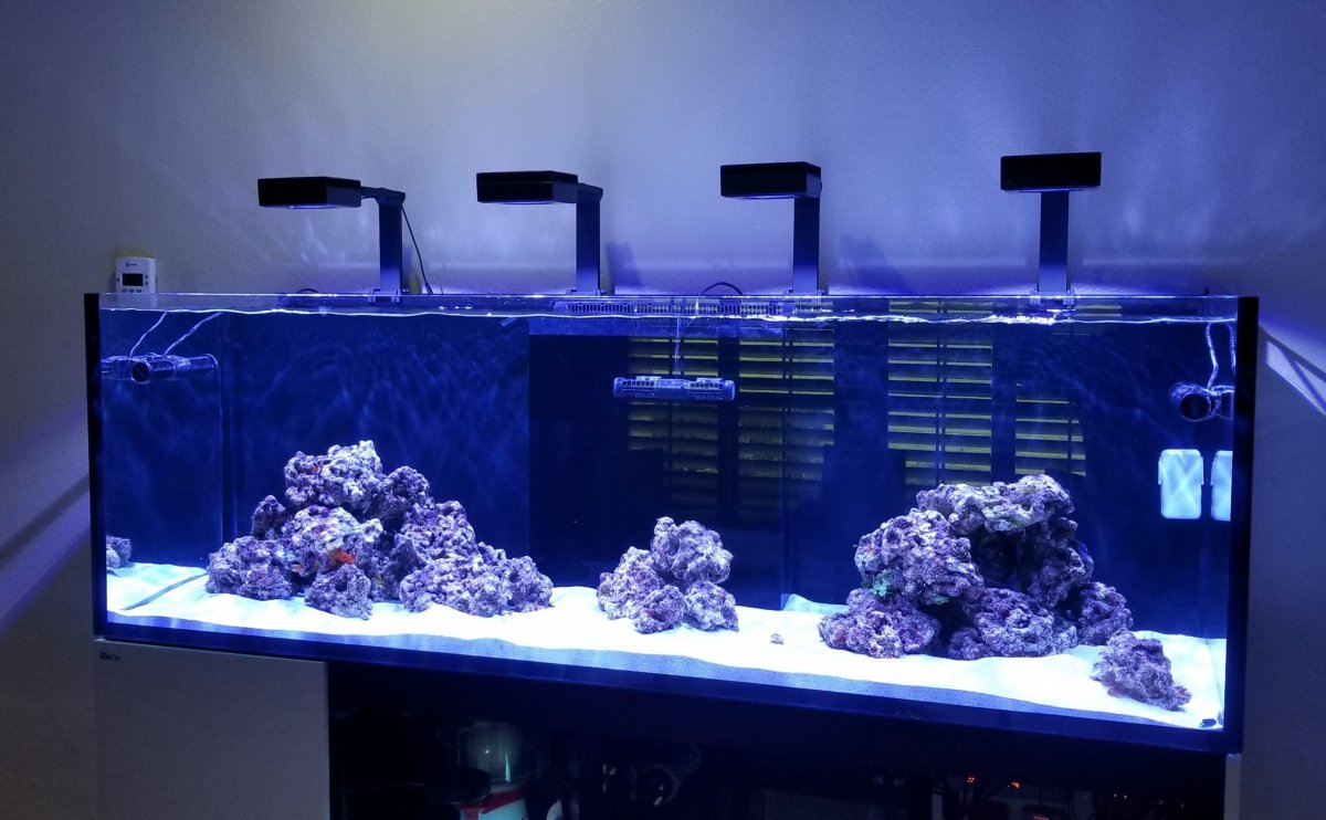 Large Build - Red Sea Reefer 3XL 900 FOWLR Dream Build Picture Heavy. |  Page 4 | REEF2REEF Saltwater and Reef Aquarium Forum