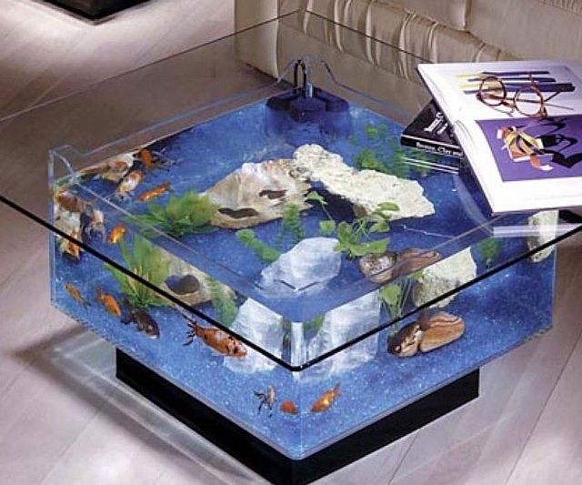 aquarium-coffee-table-640x533.jpg