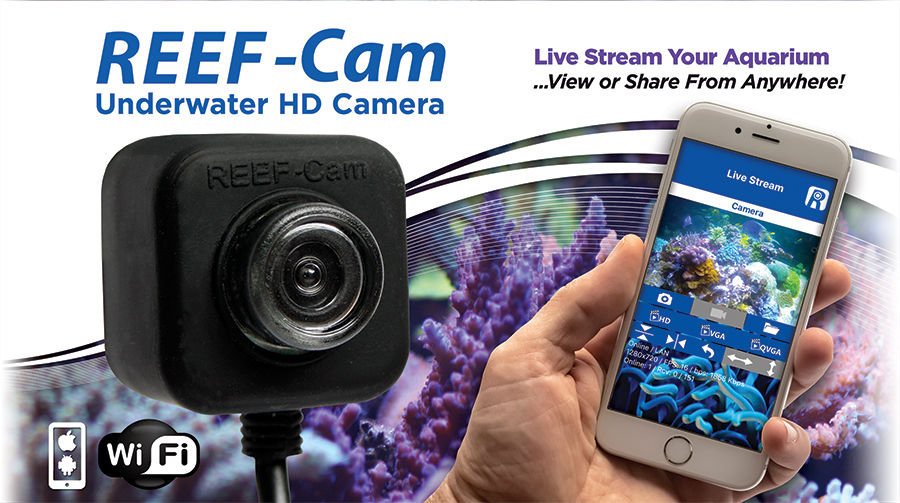 Preorder the New IceCap Reef-Cam at Aquarium Specialty | REEF2REEF  Saltwater and Reef Aquarium Forum
