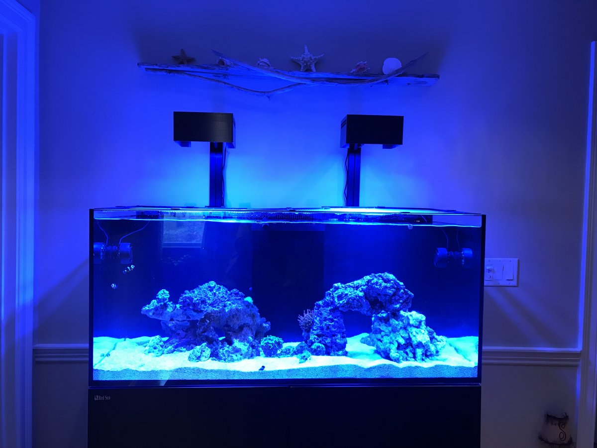 International - AI Hydra Light shade (standard, 26HD and 32HD) | REEF2REEF  Saltwater and Reef Aquarium Forum