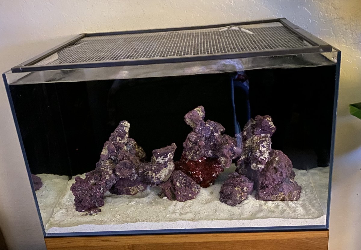Build Thread - Hemmdog’s UNS 60A | Page 2 | REEF2REEF Saltwater and ...