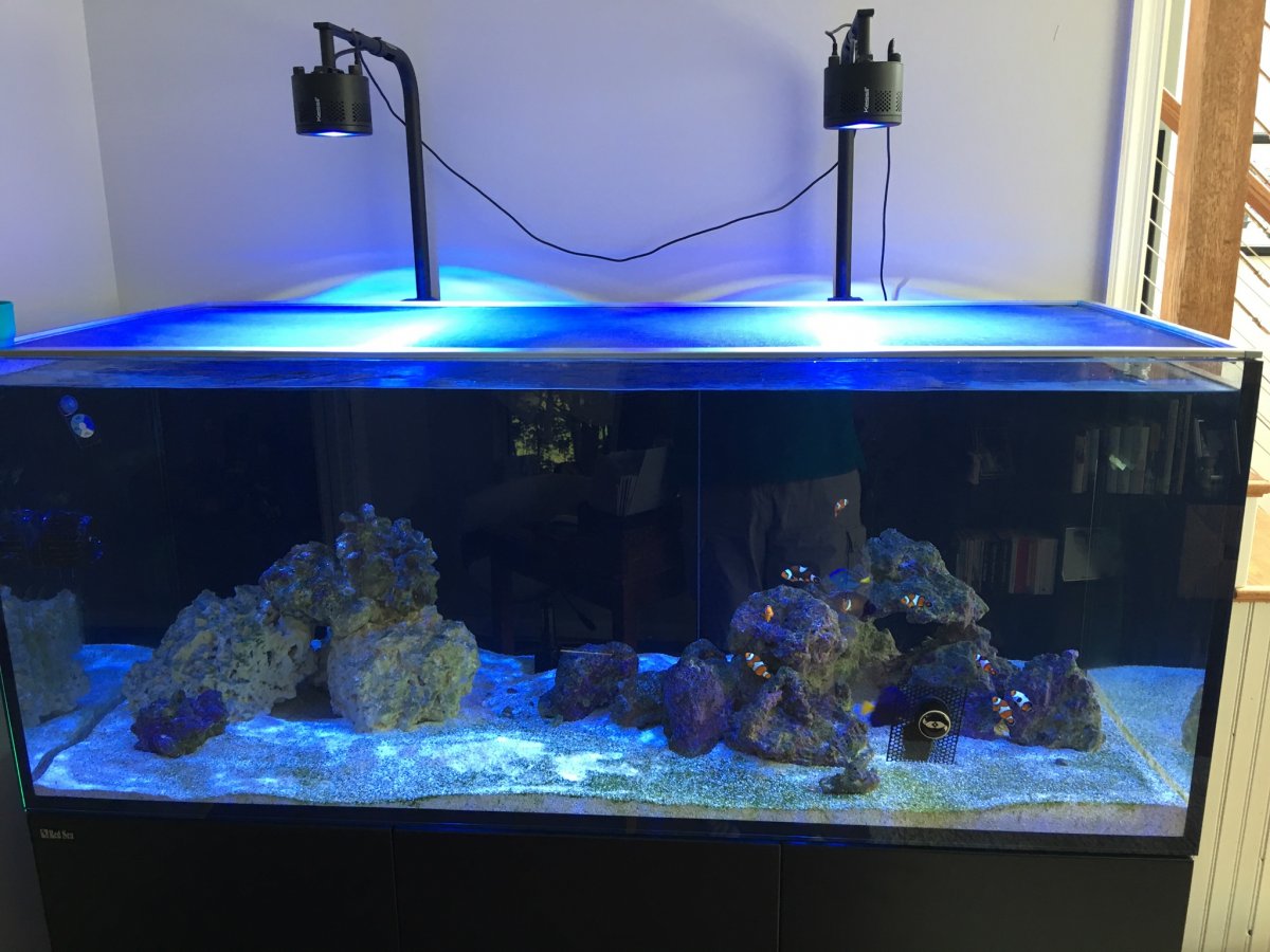 Build Thread - Jekyll2000's Red Sea Reefer 625XXL build | REEF2REEF ...