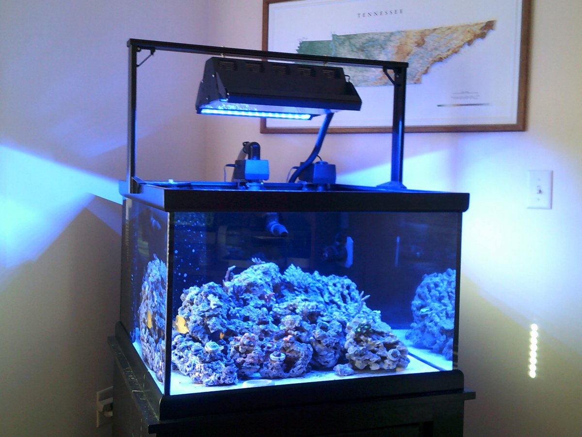 Tennessee - Cube Reef Aquarium 70 Gallon 30 x 30 x 20 Package - $775 |  REEF2REEF Saltwater and Reef Aquarium Forum