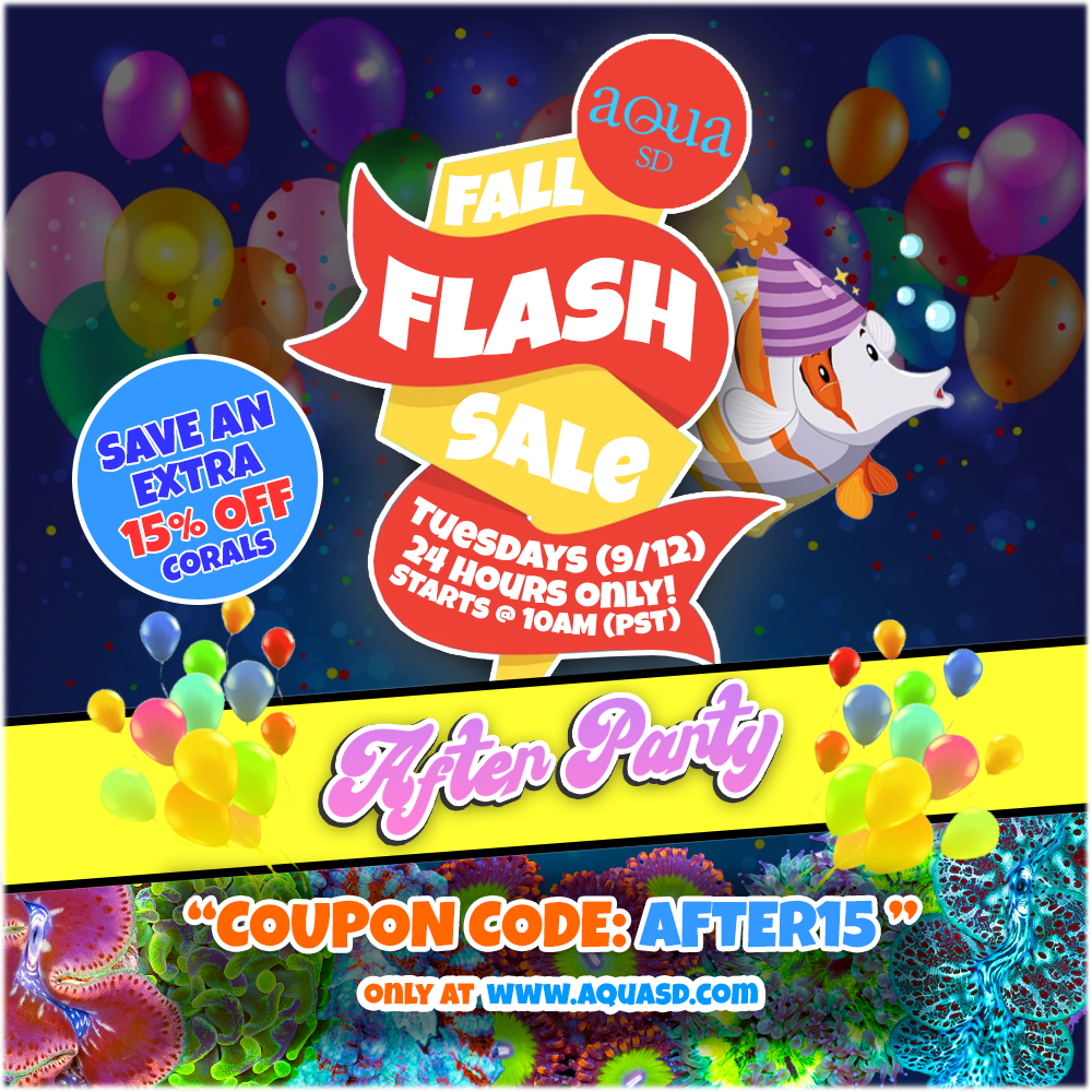 FlashSale-AfterParty.png