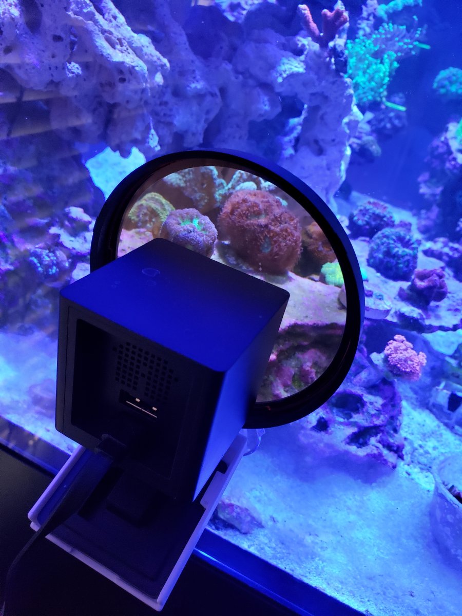 QUESTION OF THE DAY - Online viewing: Do you have a web camera for your  aquarium? | REEF2REEF Saltwater and Reef Aquarium Forum