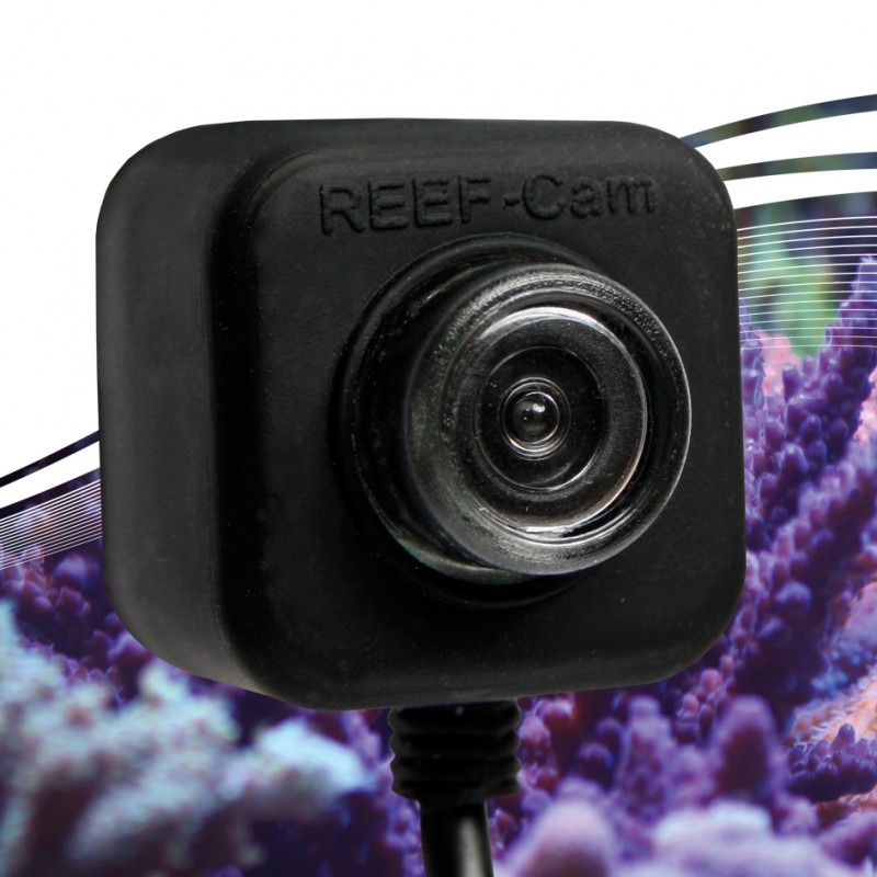 The NEW IceCap REEF-Cam is HD and goes underwater! | REEF2REEF Saltwater  and Reef Aquarium Forum