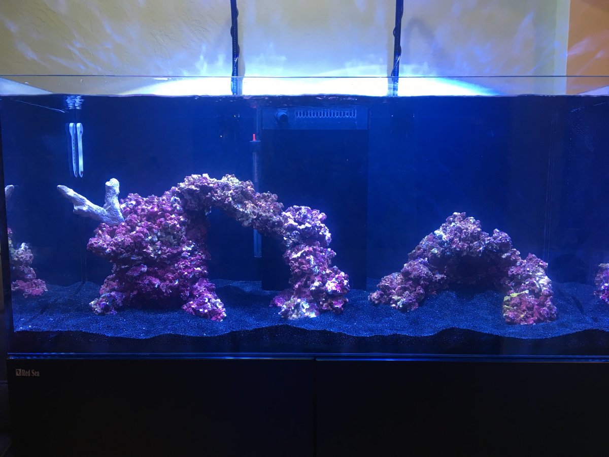 Show Off and Discuss Your Red Sea Reefer Series | Page 173 | REEF2REEF ...