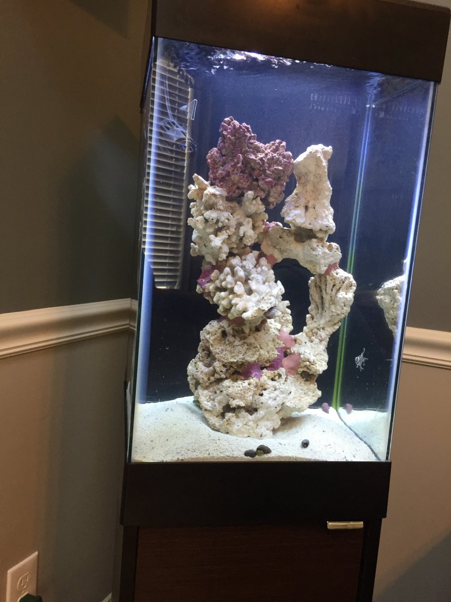 DIY Aqueon 15 column MODS | REEF2REEF Saltwater and Reef Aquarium Forum