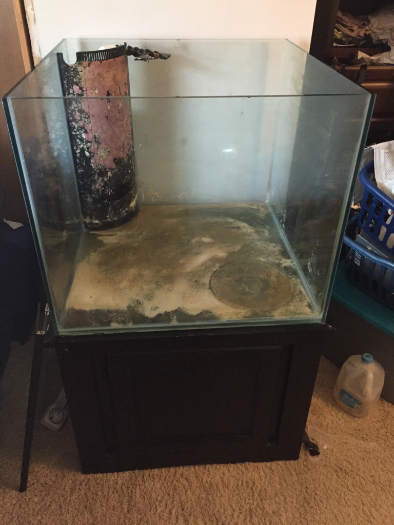 93 gallon Marineland cube, stand, glass tops | Reef2Reef