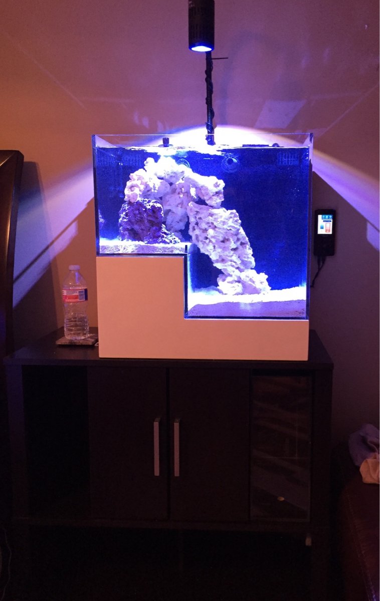 Nano Build - My Wife's 1st Tank! (Abyss Panorama) | REEF2REEF Saltwater ...