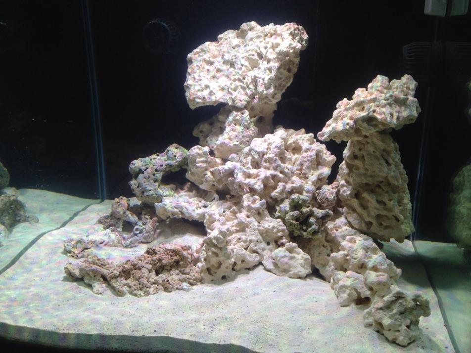 Cube Build - 93 gal cube rock scape ideas. | REEF2REEF Saltwater and ...