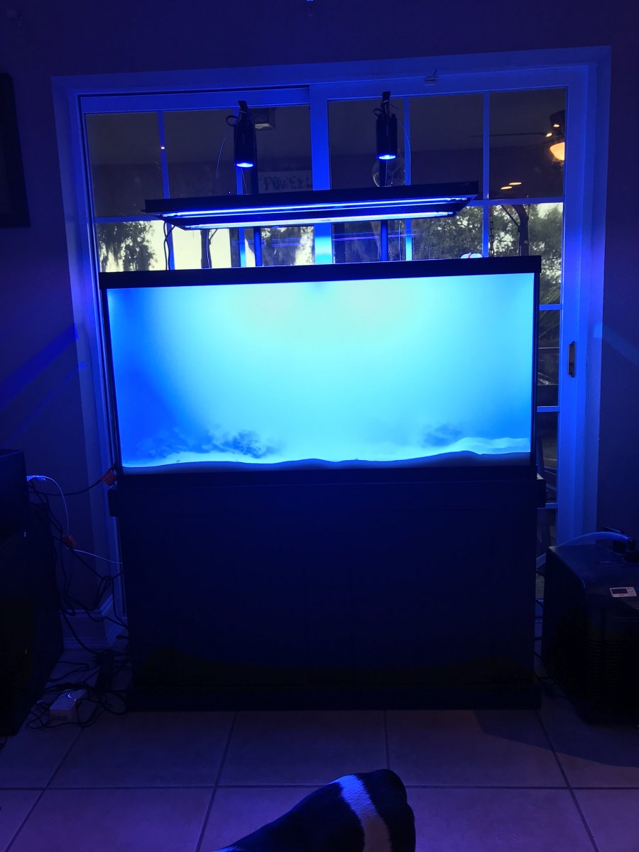 Florida - Kessil 160we Tuna Blue Led Light & Kessil Mount Arm 