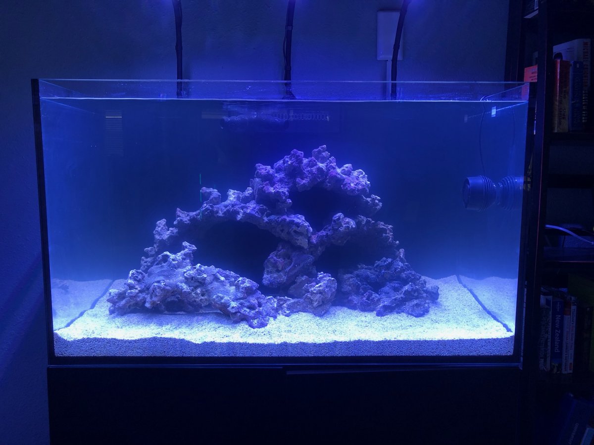 Red Sea Reefer 250 Aquascape, Looking for opinions on my layout | REEF2REEF Saltwater and Reef Forum