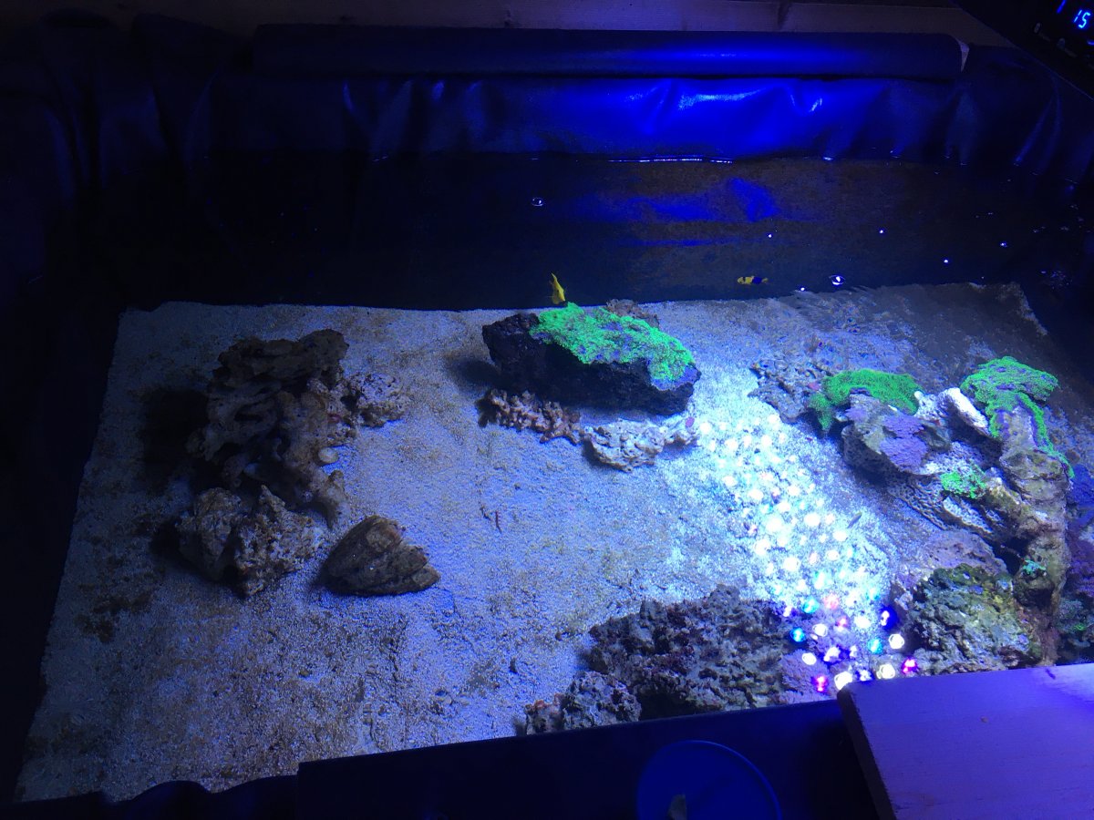 DIY insulating glass for aquarium