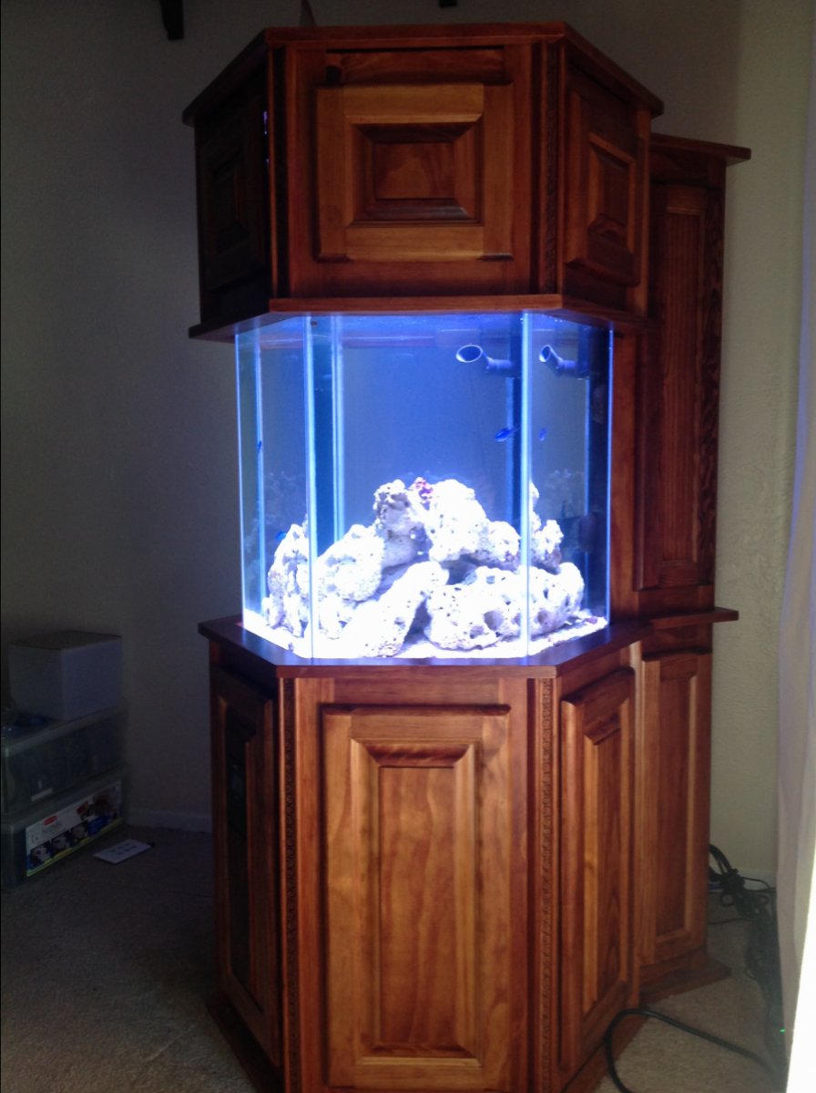 Build Thread - Canopy and Stand Build for 42 Gallon Hex Tank | REEF2REEF  Saltwater and Reef Aquarium Forum