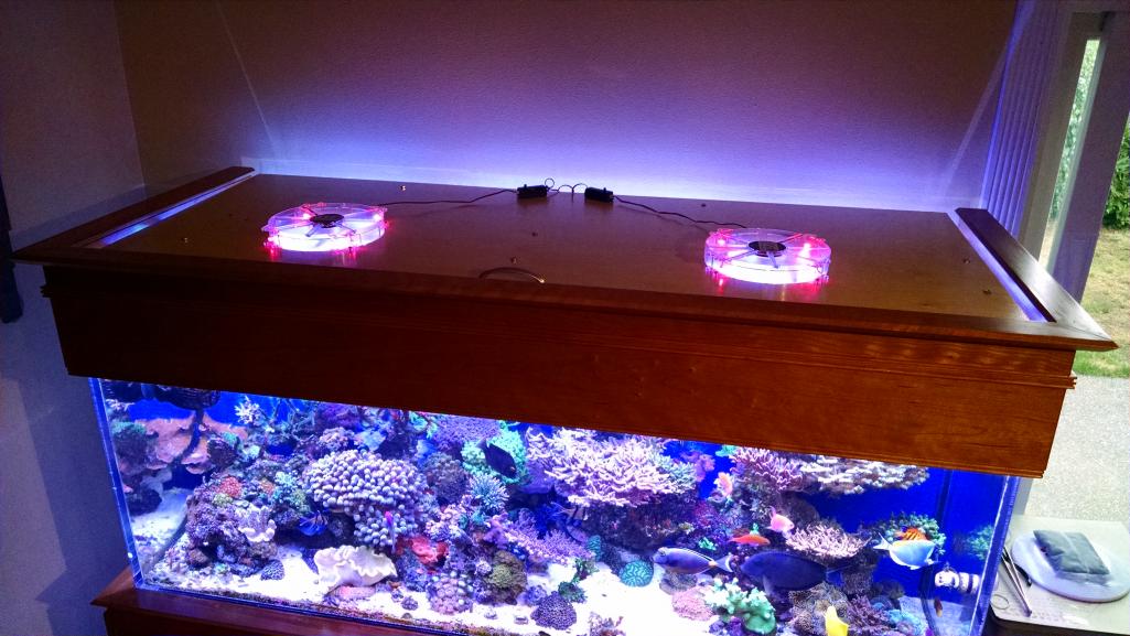 Fan Cooling Display Tank | REEF2REEF Saltwater and Reef Aquarium Forum