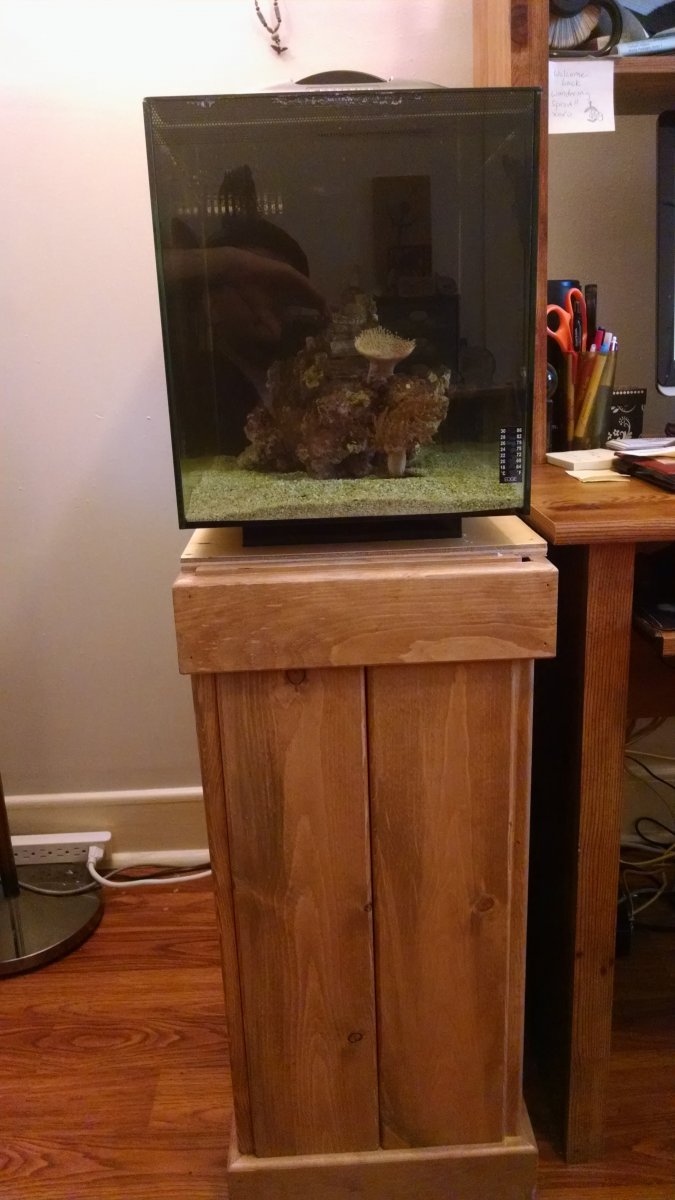Custom stand for the Fluval Evo 13.5 | REEF2REEF Saltwater and Reef  Aquarium Forum