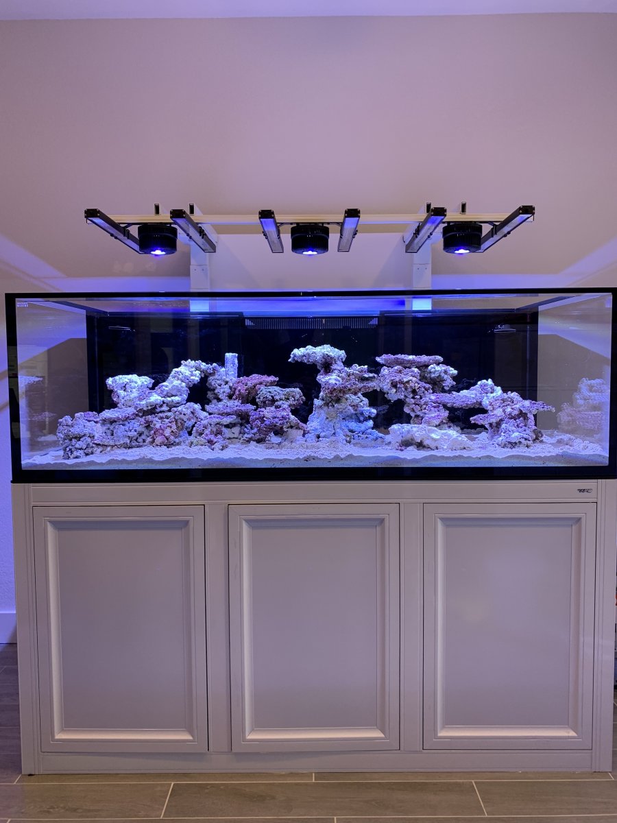 Large Build - Show Off Your Large Tank Aquascape :) | Page 54 | REEF2REEF  Saltwater and Reef Aquarium Forum
