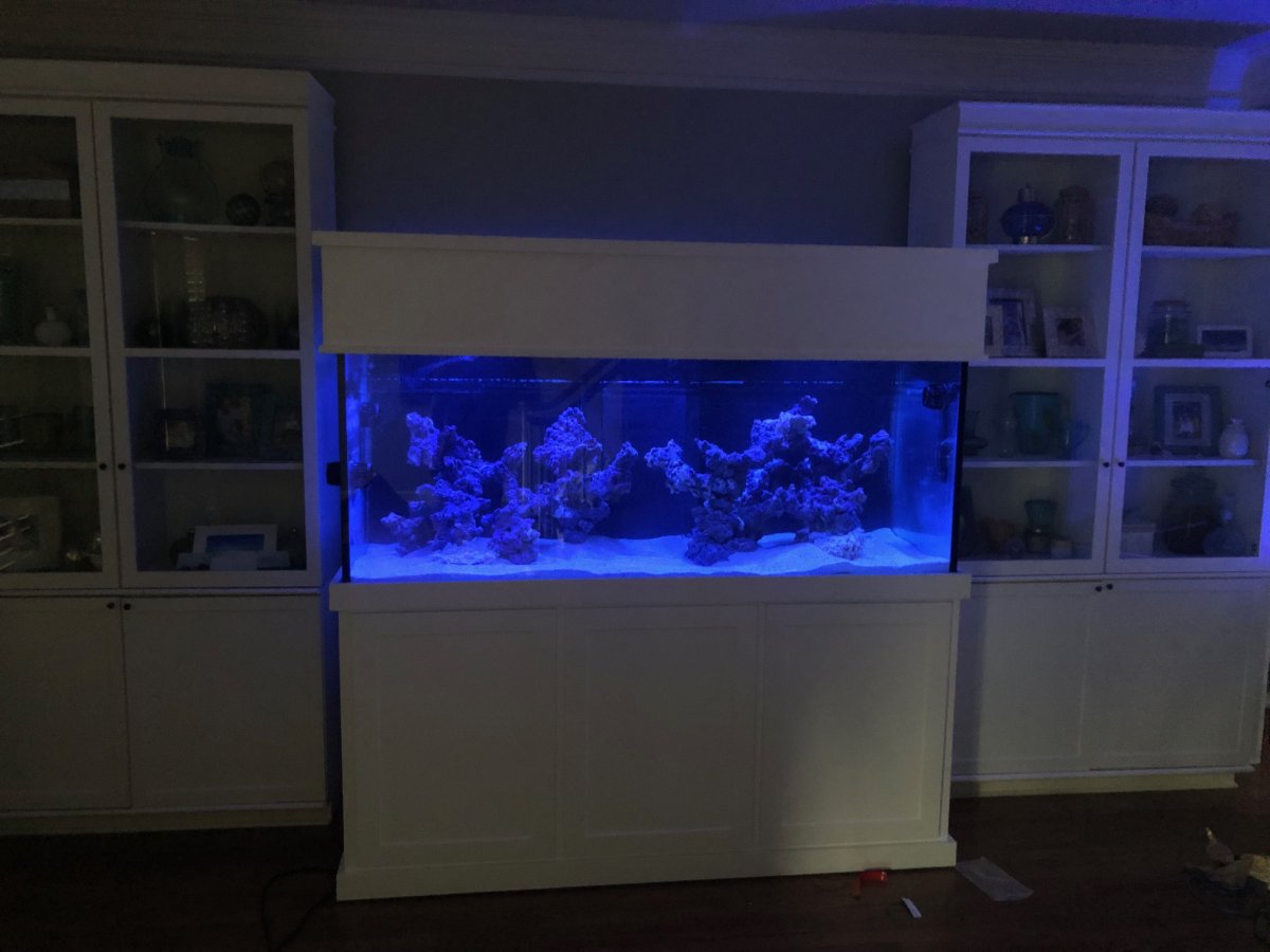 20 gallon tall fish tank and canister filter - general for sale - by owner  - craigslist