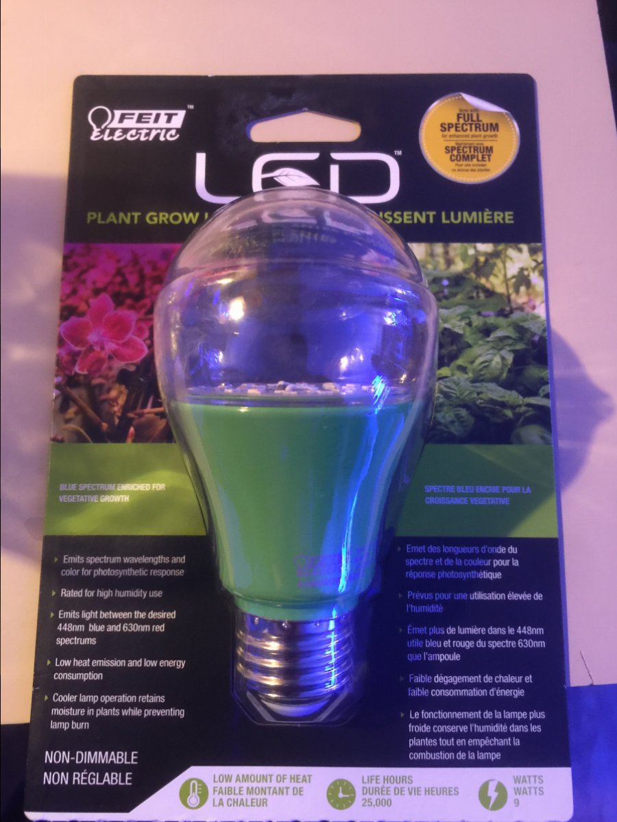 Best Leds for Chaeto? | Page 3 | REEF2REEF Saltwater and Reef Aquarium Forum